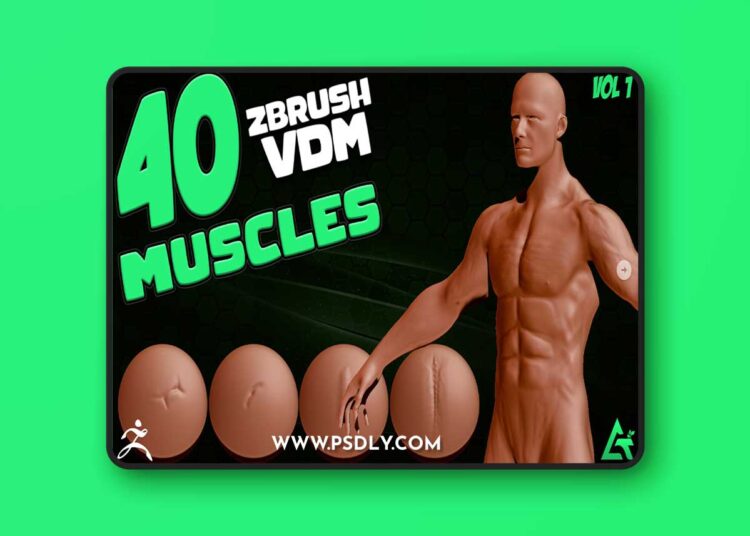 Artstation - 40 Real Muscles VDM Brush