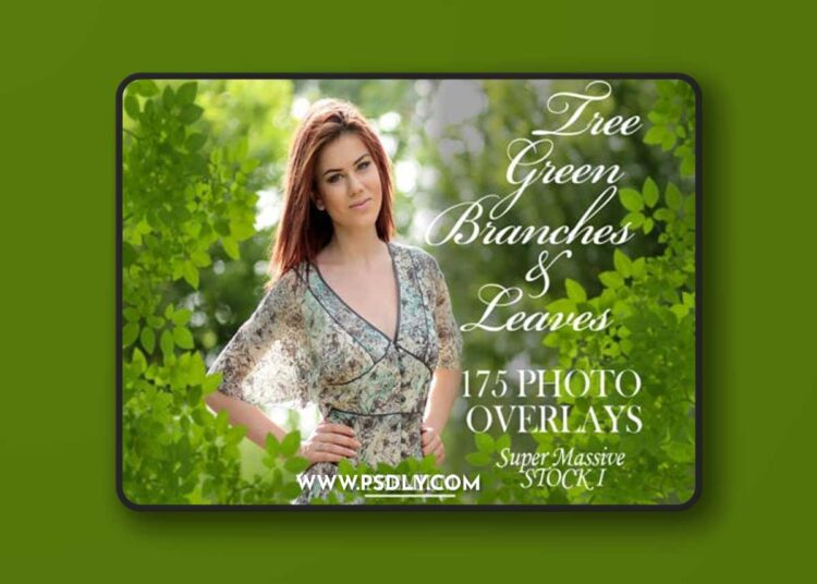 175 Green Tree Branches Overlays PNG 3012062 1 175 Green Tree Branches Overlays PNG 3012062