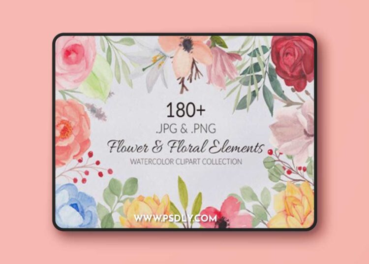 188 Flower and Floral Watercolor Set PNG 3752484 1 188 Flower and Floral Watercolor Set PNG 3752484