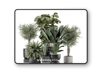 3dsky Pro - Indoor Plants in Ferm Living Bau Pot Large - Set 1277