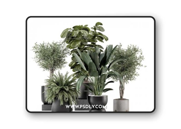 3dsky Pro - Indoor Plants in Ferm Living Bau Pot Large - Set 1277