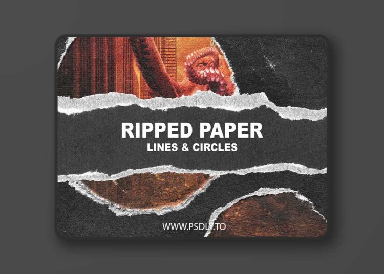CM - Ripped Paper Lines & Circles Texture Pack 1 CM - Ripped Paper Lines & Circles Texture Pack