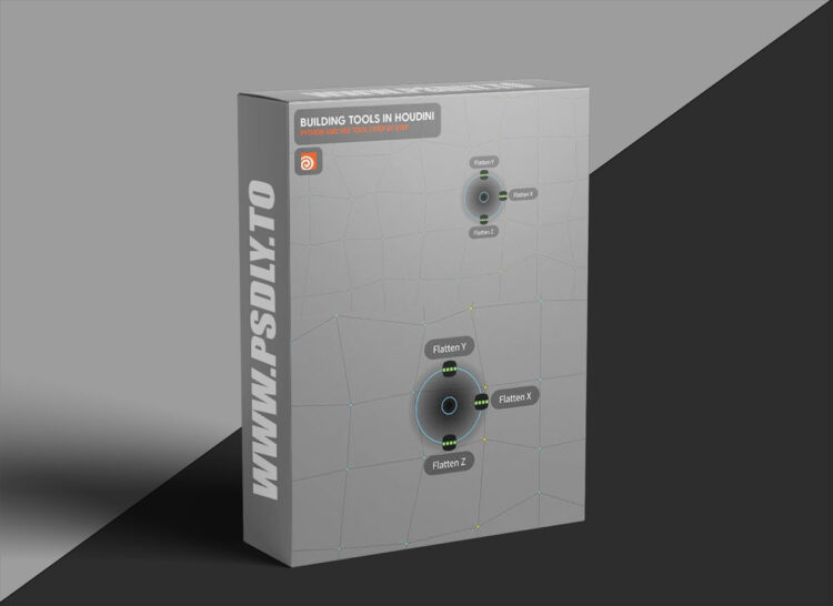 Cgside - Building Tools in Houdini with Vex and Python | Flatten Loop