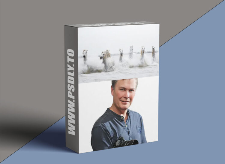 CreativeLive - Mastering Your Digital Camera