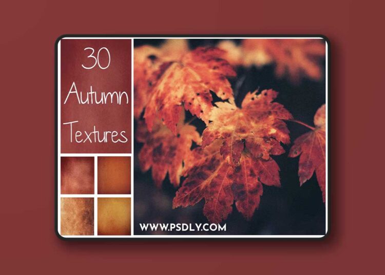 CreativeMarket - 30 Autumn Textures - 1739211 1 CreativeMarket - 30 Autumn Textures - 1739211