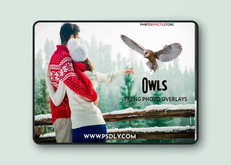 CreativeMarket - 39 Owl Photo Overlays - 3909270 1 CreativeMarket - 39 Owl Photo Overlays - 3909270