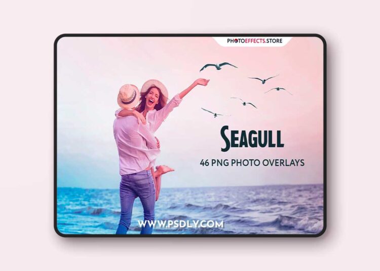 CreativeMarket - 46 Seagull Photo Overlays - 5224595 1 CreativeMarket - 46 Seagull Photo Overlays - 5224595