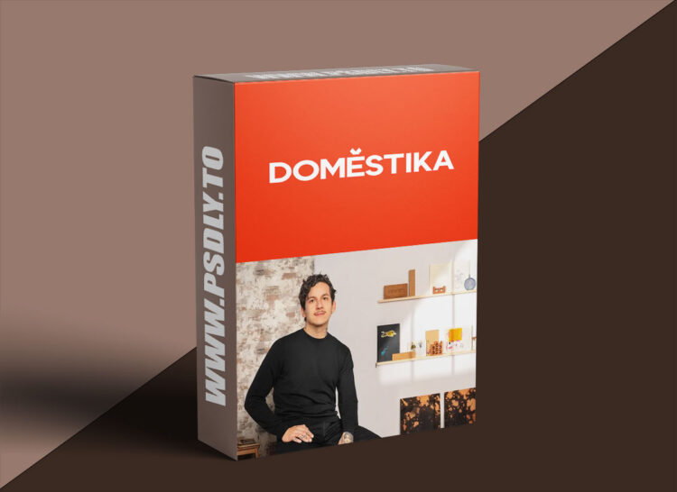 Domestika - Creative Artist's Diary: Define Your Visual Language