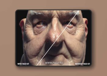 FlippedNormals - Face Kit