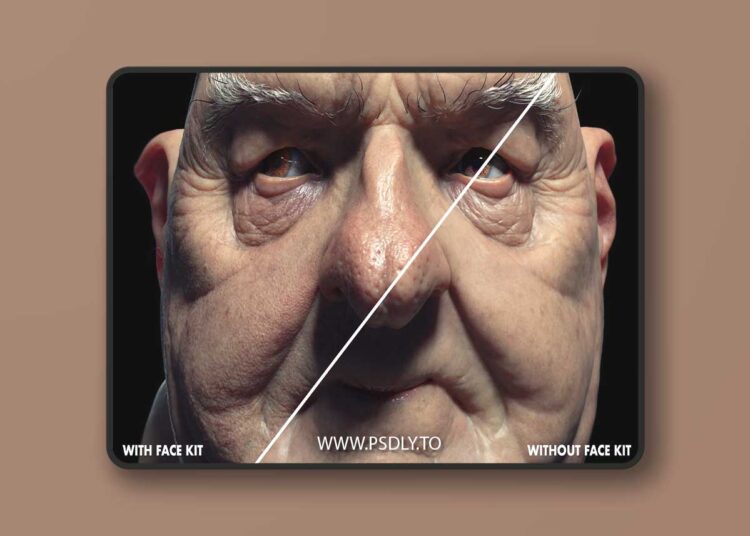 FlippedNormals - Face Kit