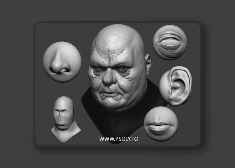 FlippedNormals - Face VDMs 3D Model