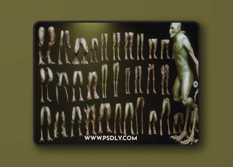 LEGS - 33 Character & Creature legs Zbrush Insertmesh Brush
