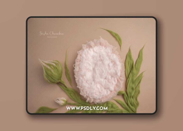 Sasha Chomakov - Newborn Digital Backdrop - Flower 1 Sasha Chomakov - Newborn Digital Backdrop - Flower