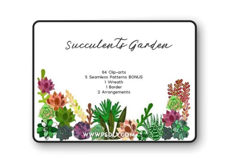 Succulents Bundle PNG + Patterns 1393 1 Succulents Bundle PNG + Patterns 1393