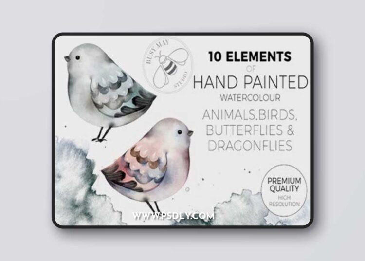 Watercolor Animals Birds Butterflies 6945978 1 Watercolor Animals Birds Butterflies 6945978
