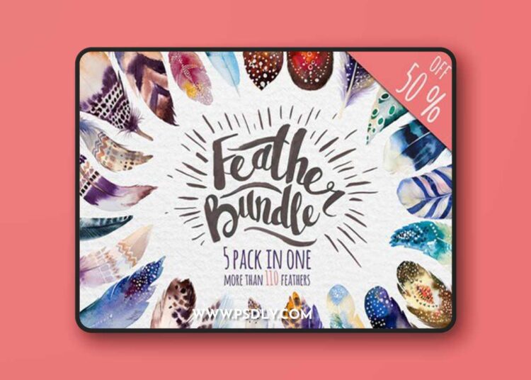 Watercolor Feathers Bundle 582779 1 Watercolor Feathers Bundle 582779