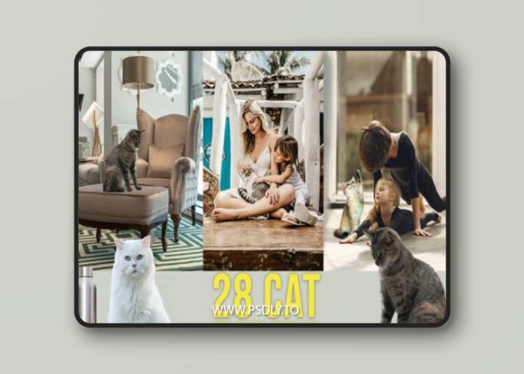 28 Cat Photoshop Overlays PNG 6737913