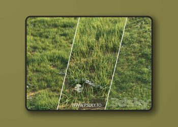 3dsky Pro - Uncut grass lawn 3D Model