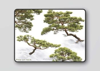 3dsky Pro - Pine 3D Model