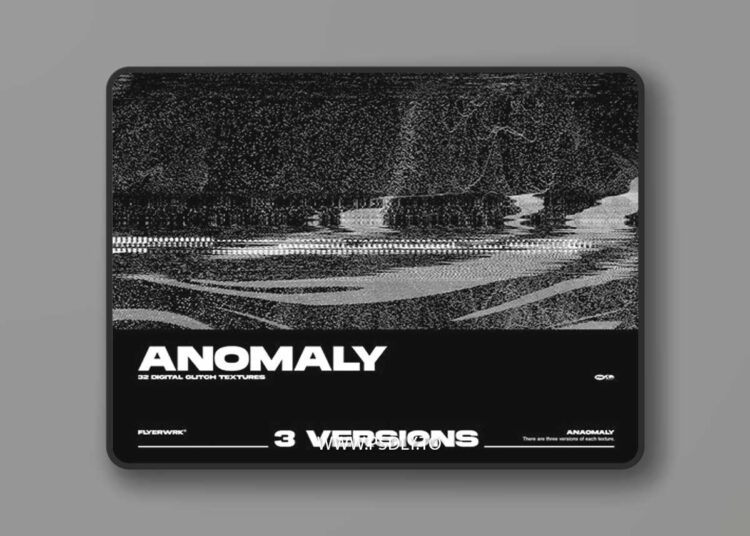 FLYERWRK - Anomaly