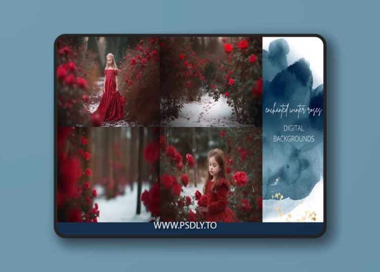 Finding North Education - Enchanted Winter Roses Digital Backgrounds 1 Finding North Education - Enchanted Winter Roses Digital Backgrounds