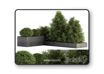 3dsky Pro - Outdoor Plant Set 231 - Plant Box with Tree