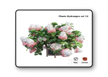 3dsky Pro - Plants Hydrangea set 12