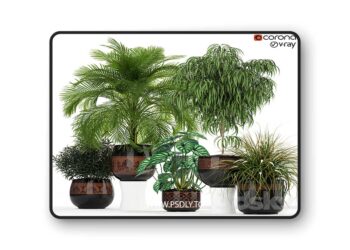 3dsky Pro - Plants collection 182