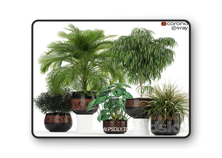 3dsky Pro - Plants collection 182
