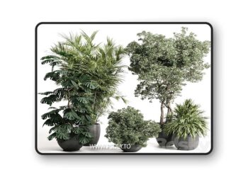 3dsky Pro - indoor plant set 452 plant bush monstera tree vase dirty concrete