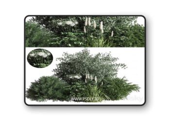 Bush04 3D Model