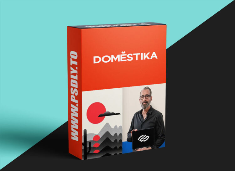 Domestika - Artistic Resources for Powerful Branding Design