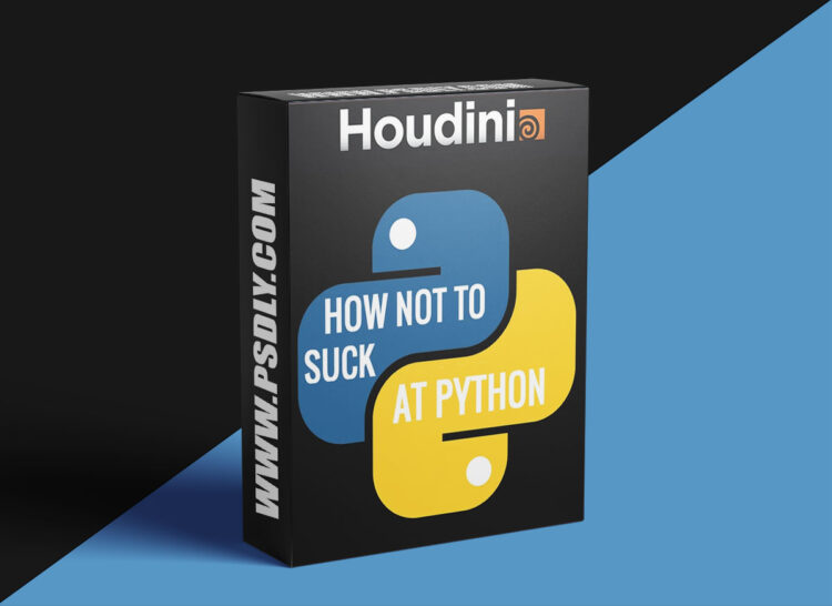 Gumroad – How not to suck at Python / SideFX Houdini