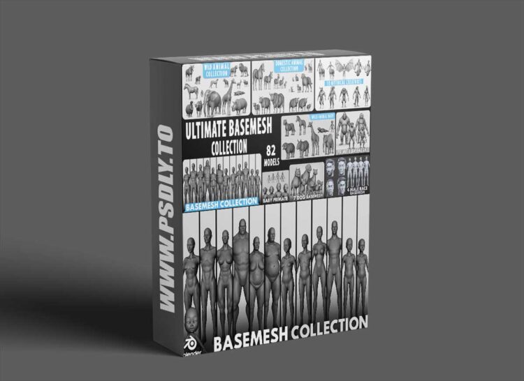 Superhivemarket - Ultimate Basemesh Collection - Topology + Uv Map