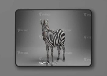 VFX Grace - Zebra Animation