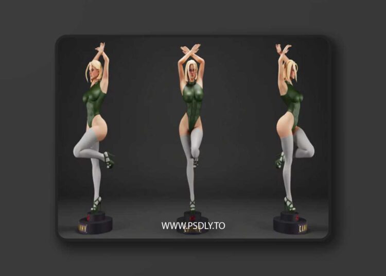 Cammy – Street Fighter – Street Dancer Version – Collectible – 3D Print Model