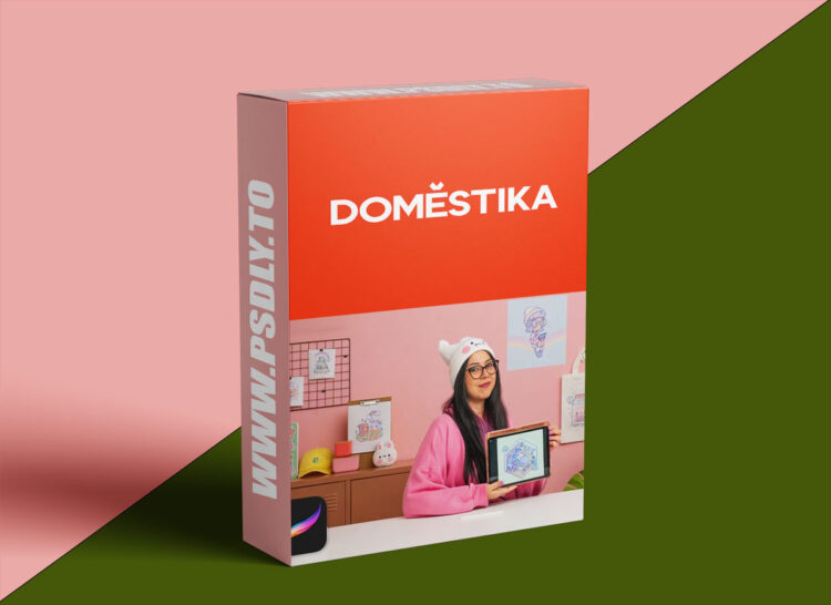 Domestika - Advanced Kawaii Illustration: Isometric Rooms