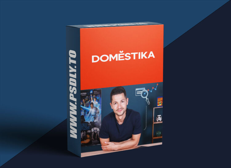 Domestika - Basic Principles of SEO
