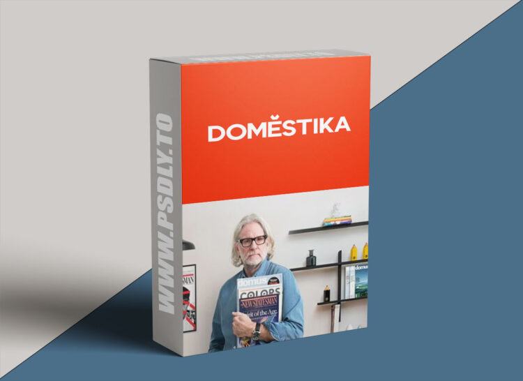 Domestika - Innovative Design Systems for Editorial and Digital Media