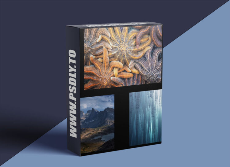 Nature Photography Classes - Eric Bennett - "Adding by Subtracting"