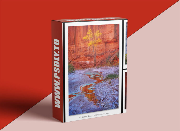 Naturephotographyclasses - Guy Tal - Creativity and Expression in Photography