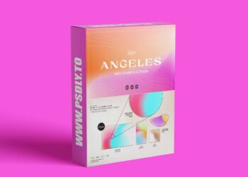 Sparrow and Snow - Angeles Retro Gradients & Shapes