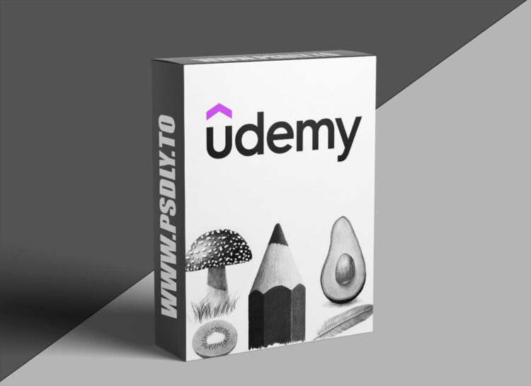 Udemy – Learn to Draw Realistic Objects with Pencil