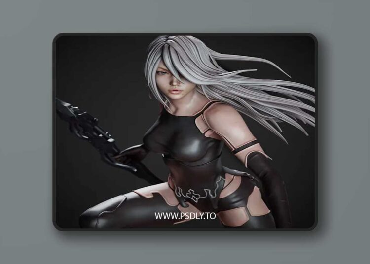 CA 3D Studios – A2 – 3D Print 3D Model