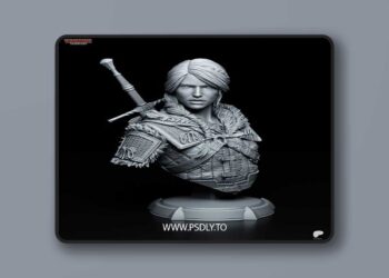 Tanuki Figures – Ciri Bust 3D Print