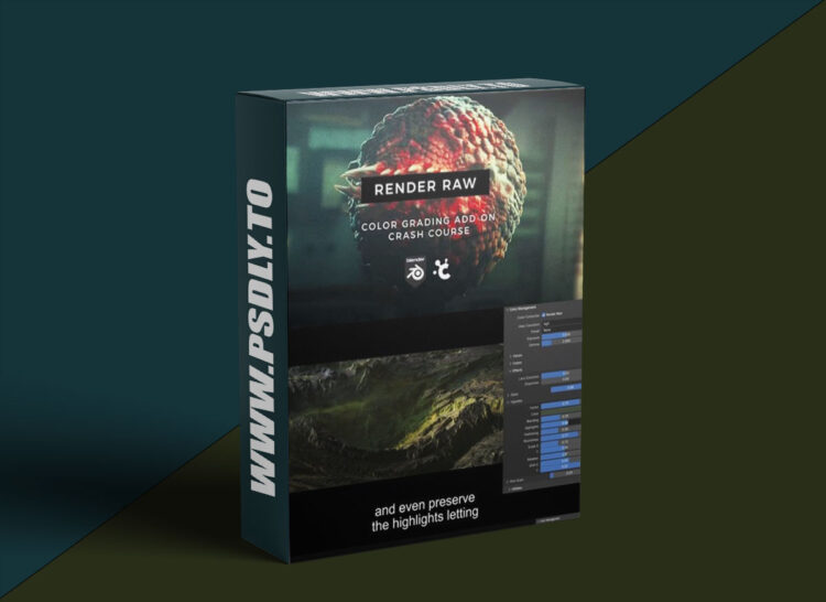Creativeshrimp - Mini-Course on Color Grading with Render Raw