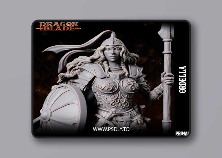 Elf Ordella – 3D Print