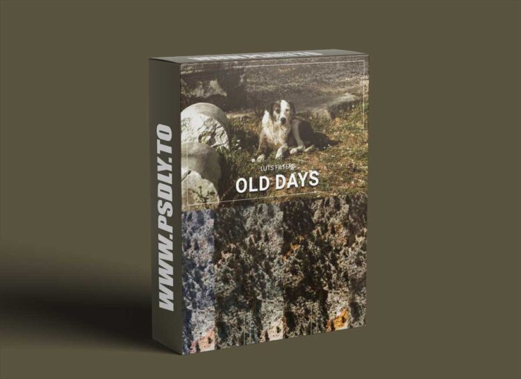 FilterGrade - 30 Old Days LUT Collection