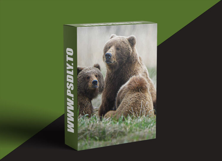 KelbyOne - Wildlife Photography: Land of the Giants
