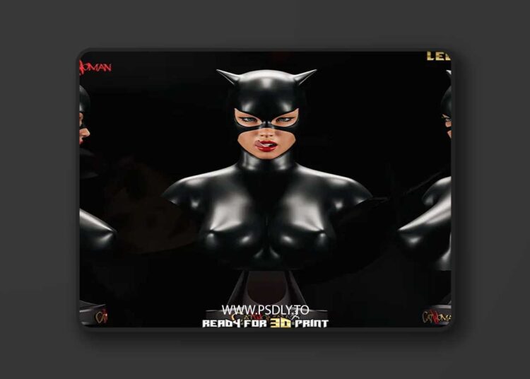 Nuskul Art – Catwoman – Dc Universe – Collectible Legendary Bust – 3D Print